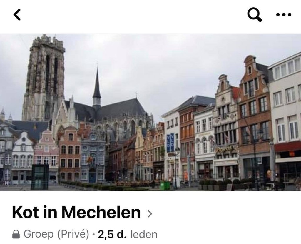 Afbeelding: Facebookgroep "Kot in Mechelen"